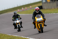 PJ-Motorsport-2019;anglesey-no-limits-trackday;anglesey-photographs;anglesey-trackday-photographs;enduro-digital-images;event-digital-images;eventdigitalimages;no-limits-trackdays;peter-wileman-photography;racing-digital-images;trac-mon;trackday-digital-images;trackday-photos;ty-croes